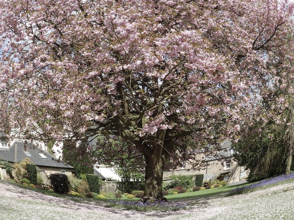 Hedgefield House Hotel Ryton  Exterior photo